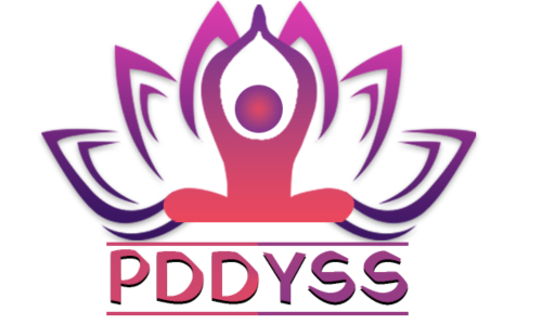 PDDYSS Logo